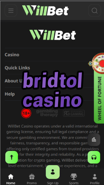 Bridtol Casino - Secure Betting & Fast Withdrawals-casinoorder.vip